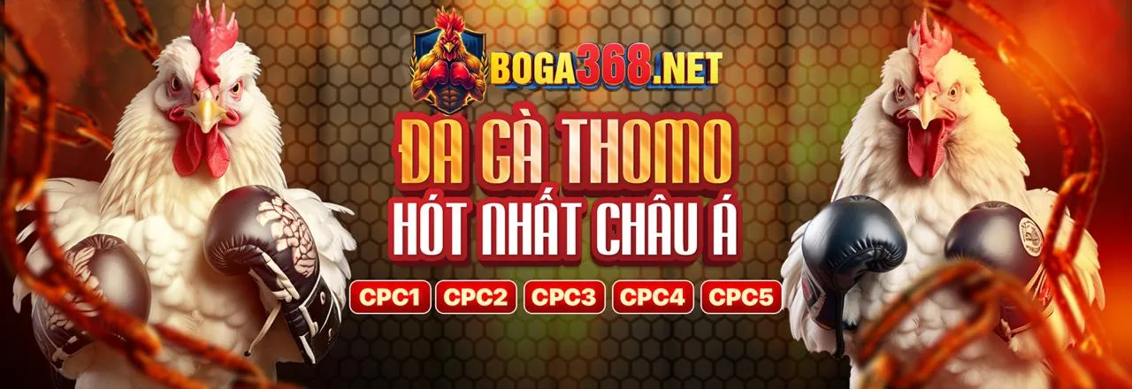 Đá Gà Trực Tuyến vn8 win