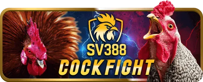 Mã QR và ứng dụng di động vn8 win cho trải nghiệm cá cược trên điện thoại
